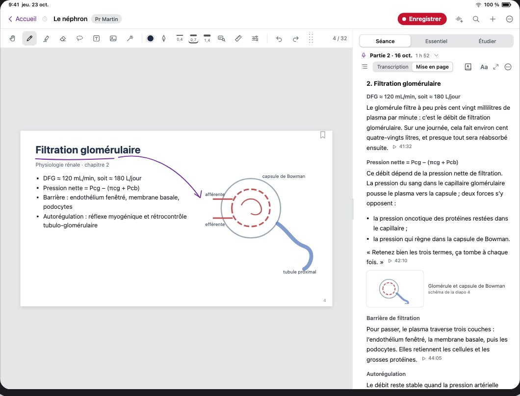 De cursus uitgeschreven op basis van de dia’s en de stem van de prof, met bronnen.